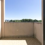 IMG_1329