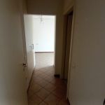 Immagine WhatsApp 2025-11-17 ore 18.59.14_bf93e9e3